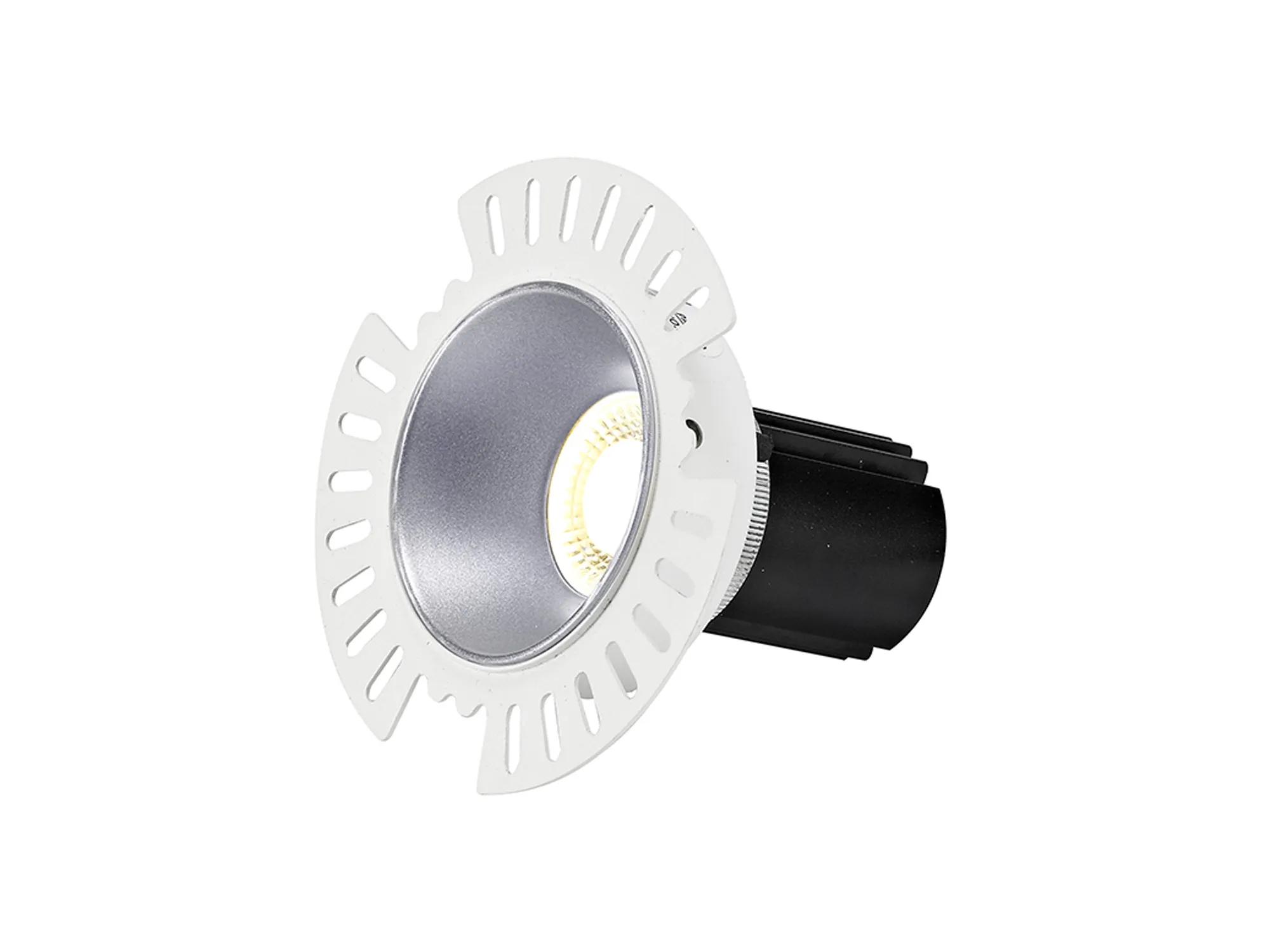 DM201856  Basy A 12 Tridonic powered 12W 2700K 1200lm 12° CRI>90 LED Engine Silver Adjustable Recessed Spotlight, IP20